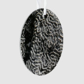 白黒サンゴI抽象芸術自然写真 オーナメント (正面)