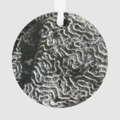 白黒サンゴI抽象芸術自然写真 オーナメント (裏面)
