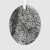 白黒サンゴI抽象芸術自然写真 オーナメント (正面)