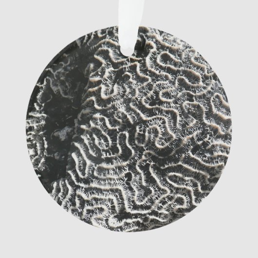 白黒サンゴI抽象芸術自然写真 オーナメント (正面)