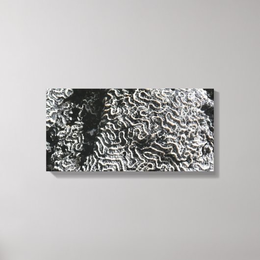 白黒サンゴI抽象芸術自然写真 キャンバスプリント (正面)