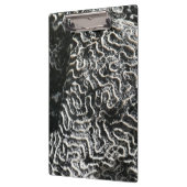 白黒サンゴI抽象芸術自然写真 クリップボード (左)