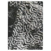 白黒サンゴI抽象芸術自然写真 クリップボード (裏面)