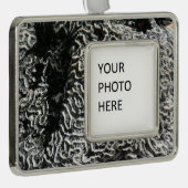 白黒サンゴI抽象芸術自然写真 シルバープレートフレームオーナメント (右)