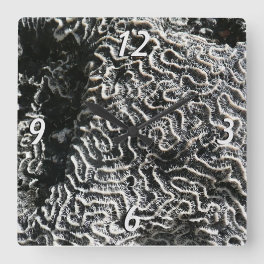 白黒サンゴI抽象芸術自然写真 スクエア壁時計 (正面)