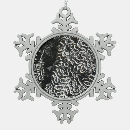 白黒サンゴI抽象芸術自然写真 スノーフレークピューターオーナメント (正面)