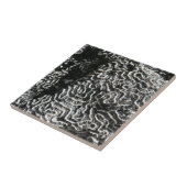 白黒サンゴI抽象芸術自然写真 タイル (側面)