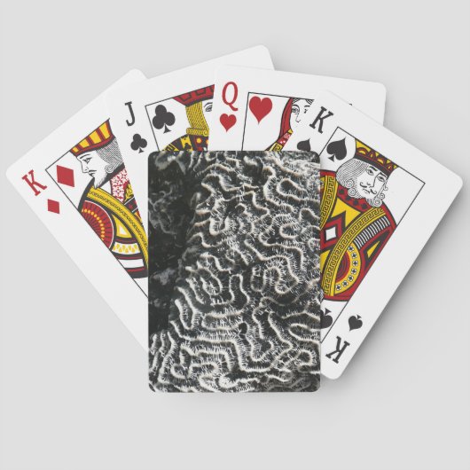 白黒サンゴI抽象芸術自然写真 トランプ (裏面)