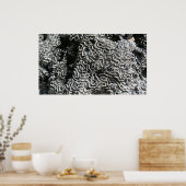 白黒サンゴI抽象芸術自然写真 ポスター (キッチン)