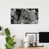 白黒サンゴI抽象芸術自然写真 ポスター (ホームオフィス)