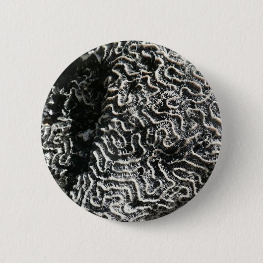 白黒サンゴI抽象芸術自然写真 缶バッジ (正面)
