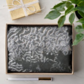 白黒サンゴI抽象芸術自然写真 薄葉紙 (ギフト)