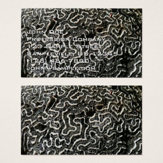 白黒サンゴII抽象芸術自然写真 (正面&裏面)