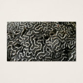 白黒サンゴII抽象芸術自然写真 (裏面)