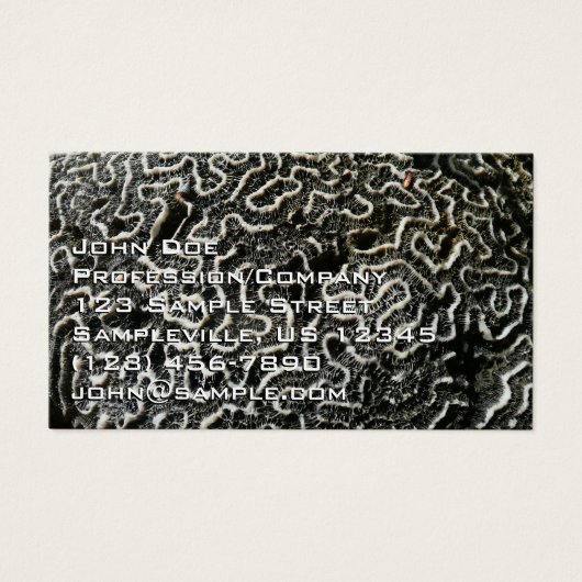 白黒サンゴII抽象芸術自然写真 (正面)