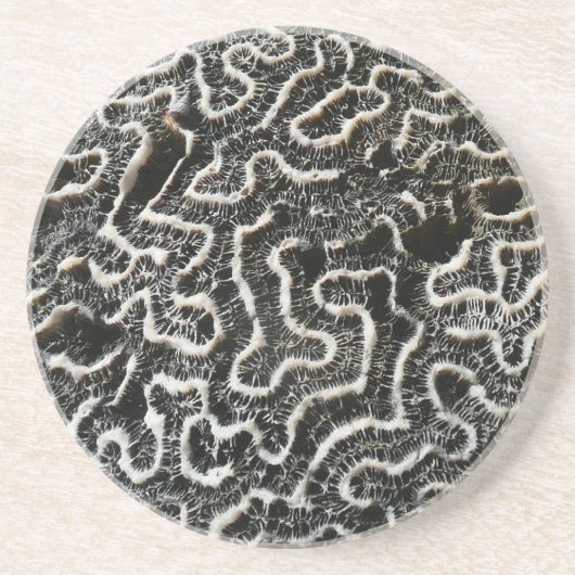 白黒サンゴII抽象芸術自然写真 コースター (正面)