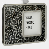 白黒サンゴII抽象芸術自然写真 シルバープレートフレームオーナメント (右)