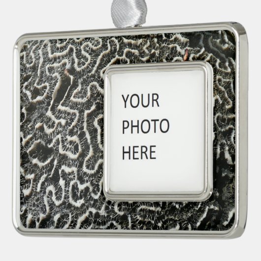 白黒サンゴII抽象芸術自然写真 シルバープレートフレームオーナメント (左)