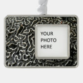 白黒サンゴII抽象芸術自然写真 シルバープレートフレームオーナメント (正面)