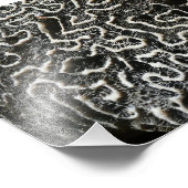 白黒サンゴII抽象芸術自然写真 フォトプリント            (角)