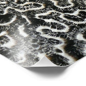 白黒サンゴII抽象芸術自然写真 フォトプリント (角)