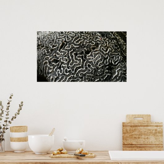 白黒サンゴII抽象芸術自然写真 ポスター (キッチン)
