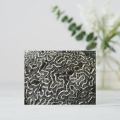 白黒サンゴII抽象芸術自然写真 ポストカード (スタンド正面)