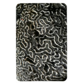 白黒サンゴII抽象芸術自然写真 マグネット (縦)