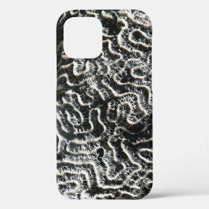 白黒サンゴII抽象芸術自然写真 iPhone 12ケース