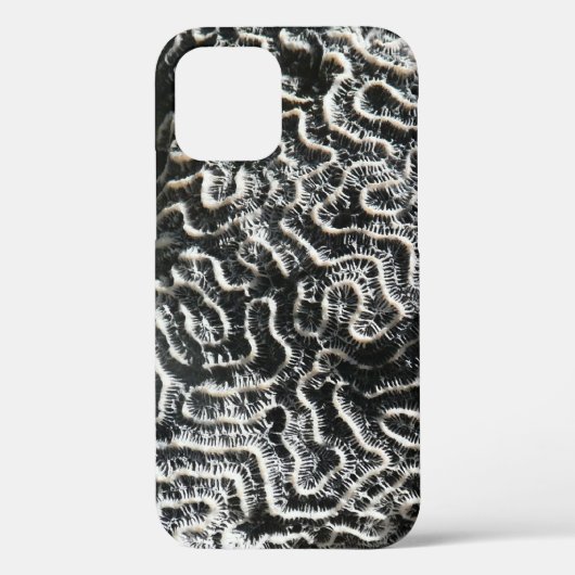 白黒サンゴII抽象芸術自然写真 Case-Mate iPhoneケース (裏面)