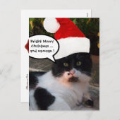 白黒サンタ帽子付きクリスマス猫 シーズンポストカード (正面/裏面)