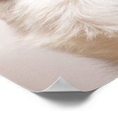 白黒シェットランド羊飼いのポートレート ポスター (角)