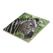 白黒シマウマのタイル タイル (側面)