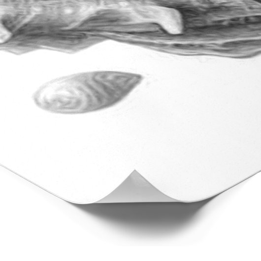 白黒シーシェルビューティフルデコレーションニース ポスター (角)