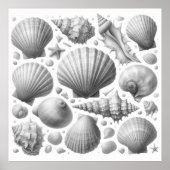 白黒シーシェルビューティフルデコレーションニース ポスター (正面)