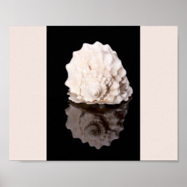 白黒シーシェル熱帯印刷用アート ポスター