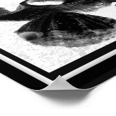 白黒シーシェル熱帯印刷用アート ポスター (角)