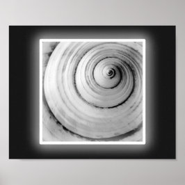 白黒シーシェル熱帯印刷用アート ポスター