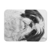 白黒シーズー（犬）Tzu Art マグネット (横)