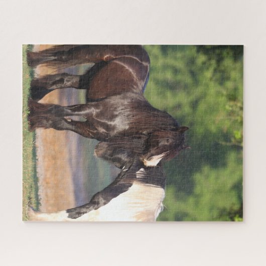 白黒ジプシーの二人のヴァンナー会議 ジグソーパズル (横)