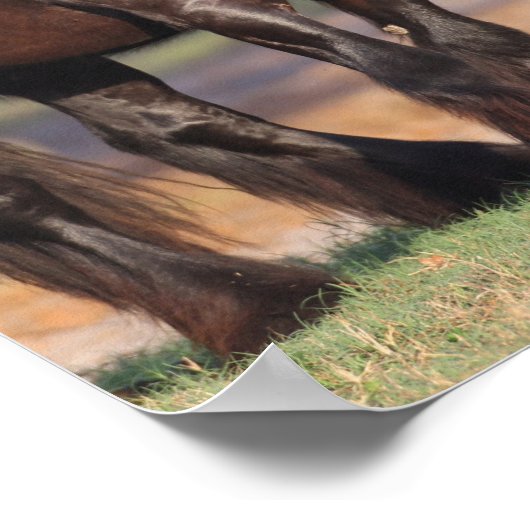 白黒ジプシーの二人のヴァンナー会議 ポスター (角)