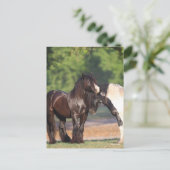 白黒ジプシーの二人のヴァンナー会議 ポストカード (スタンド正面)