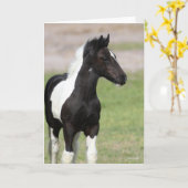 白黒ジプシーヴァンナーフォールスタンディング カード (黄色い花)