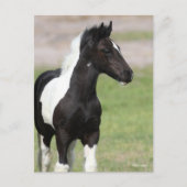 白黒ジプシーヴァンナーフォールスタンディング ポストカード (正面)