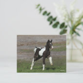 白黒ジプシーヴァンナーフォールランニングズ ポストカード (スタンド正面)