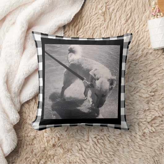 白黒ジンガム柄ペット用写真枕 クッション (ブランケット)