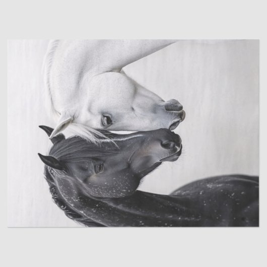 白黒スタリオンホースアートデコップページ 薄葉紙 (正面)