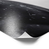 白黒スタリオンホースアート フォトプリント            (角)