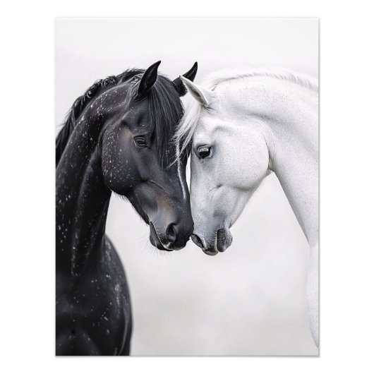 白黒スタリオンホースアート フォトプリント            (正面)