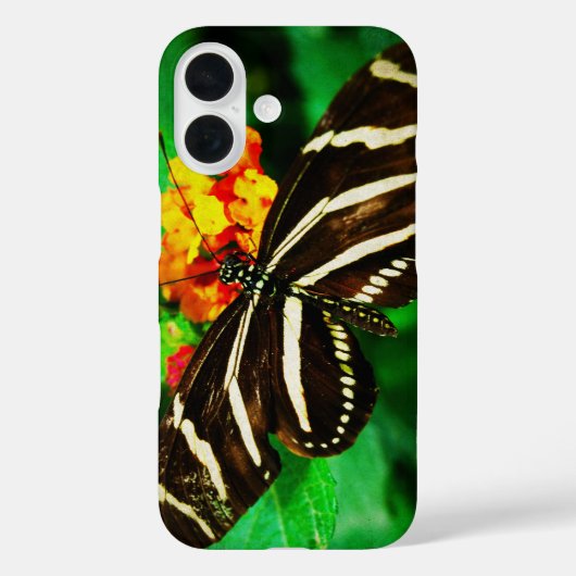 白黒ストライプ蝶の長いゼブラ写真 Case-Mate iPhoneケース (裏面)